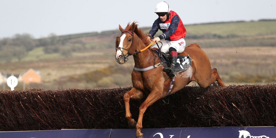 Grand National Hill Sixteen