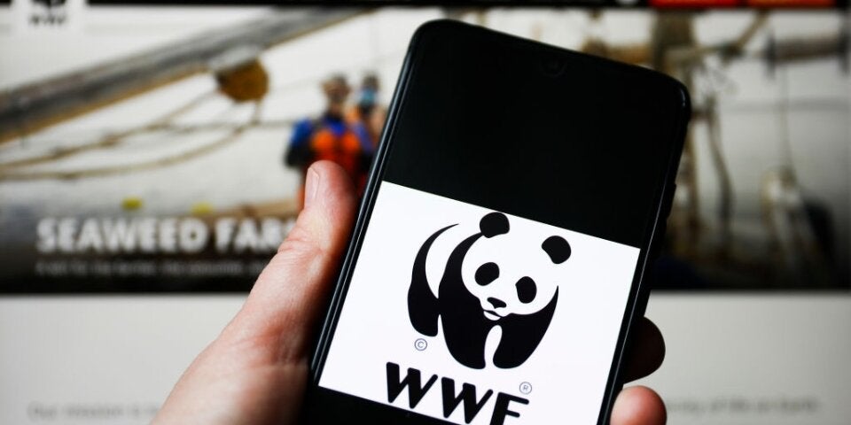 Schockierende Studie zur Lebensmittelverschwendung