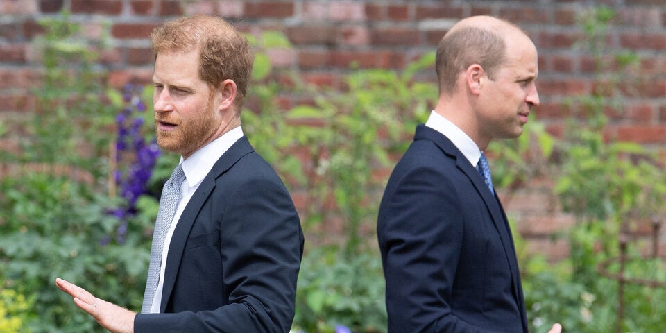 Prinz Harry und Prinz William