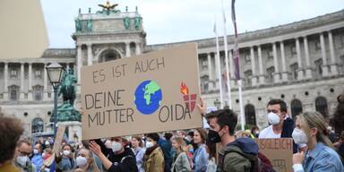 Fridays For Future Wien