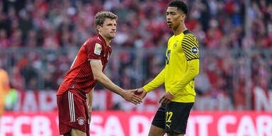 M&uuml;ller Bellingham