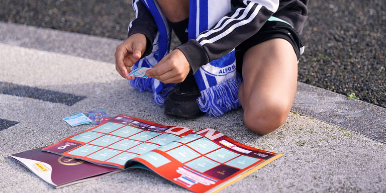 Panini Sticker