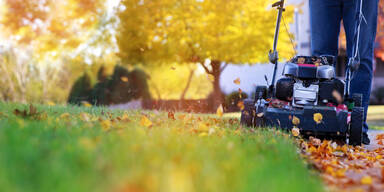 Rasenpflege im Herbst: Dann sollten Sie den Rasen zum letzten Mal mähen