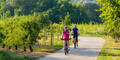 Frühling auf zwei Rädern: Die schönsten Radtouren durch Österreich 2025