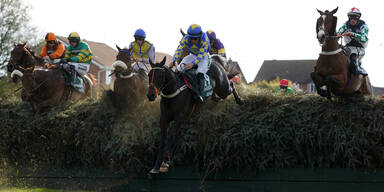 Grand National Hill Sixteen