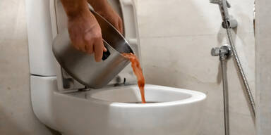 Bitte nicht: Diese Dinge sollten Sie niemals die Toilette herunterspülen