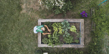Hochbeet-Trend im Garten: Dieses Modell &uuml;berzeugt!