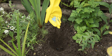 Weg damit: Diese Dinge haben im Garten nichts zu suchen