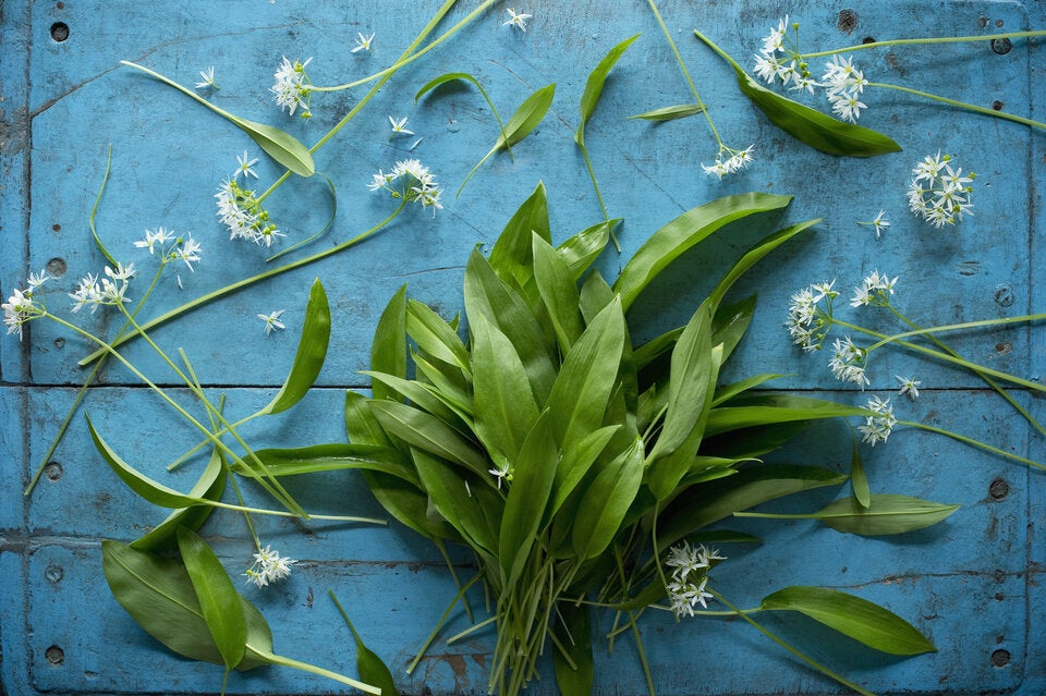 Im Mai: Diese regionalen Superfoods müssen jetzt in Ihren Einkaufskorb