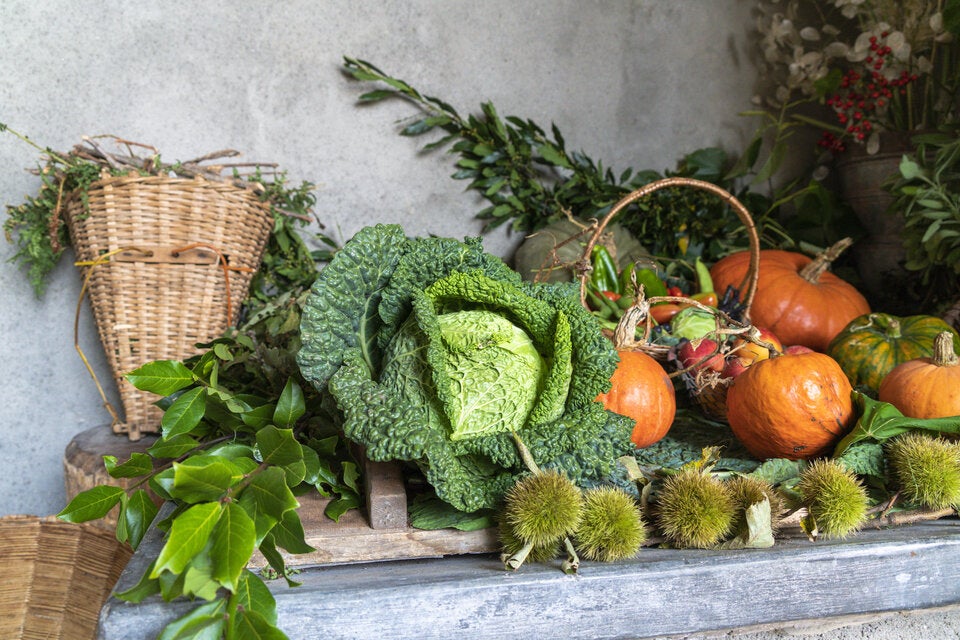 Finger weg: Diese Lebensmittel sollten Sie im Oktober unbedingt meiden