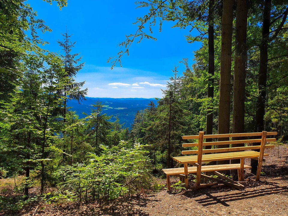 Bayerischer Wald erleben: Was Sie 2025 auf keinen Fall verpassen dürfen