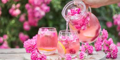 Prickelnder Frühling: Die besten Cocktails für die warme Jahreszeit