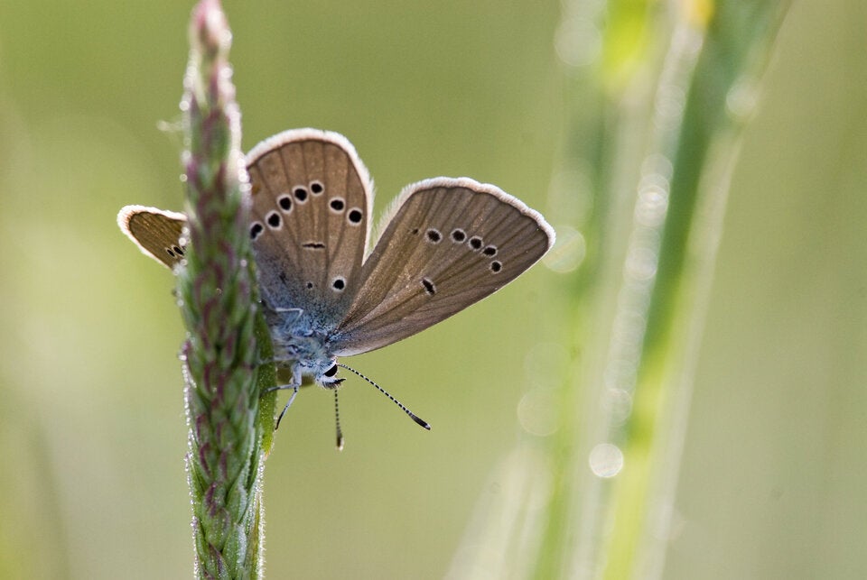 Die zehn schönsten Orte Österreichs im Jahr 2025
