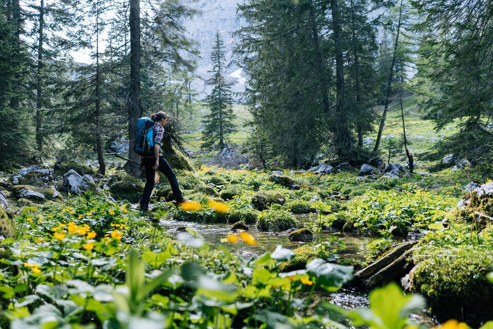 Geheimtipps: 10 traumhafte Frühlingswanderungen quer durch Österreich