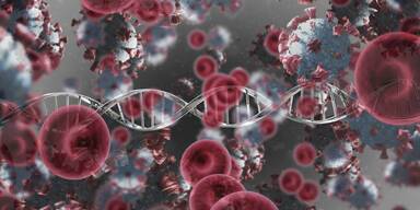 Infektionskrankheiten