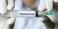 Hantavirus