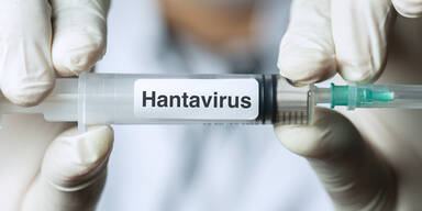 Hantavirus