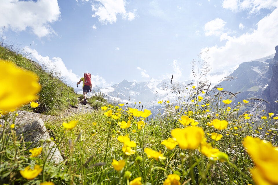 Winterspeck adé! So verbrennt Spazieren besonders viele Kalorien