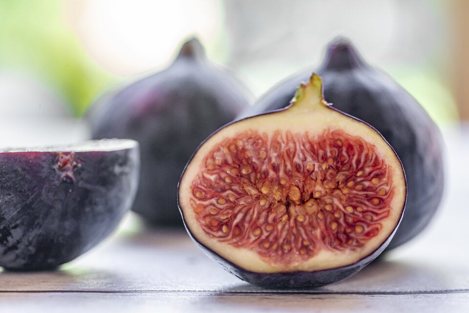 Igitt: DIESES Insekt steckt in jeder Feige