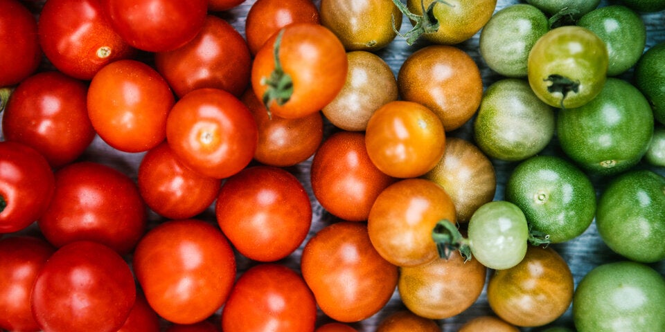 Mit diesen Tricks reifen Tomaten, Avocado und Co. schneller nach