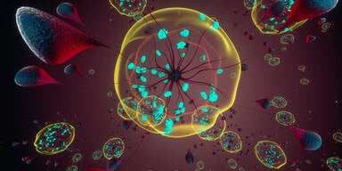 Mysteri&ouml;se Viren sind Ausl&ouml;ser f&uuml;r aktuelle Krankheitswelle