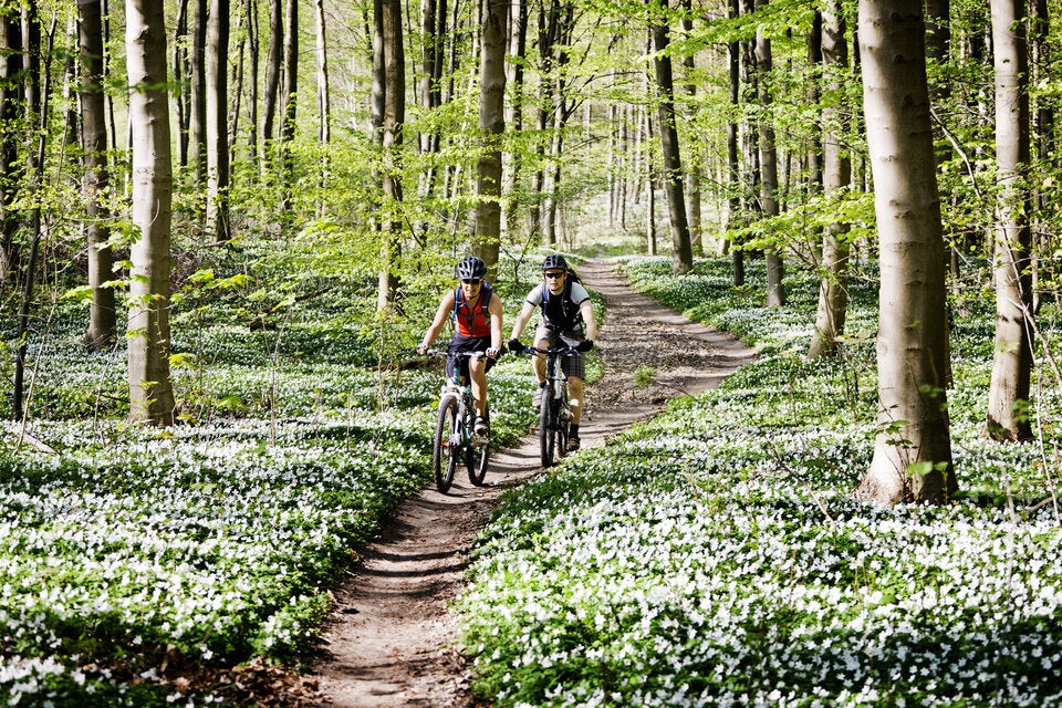 Mehr Energie im Frühling