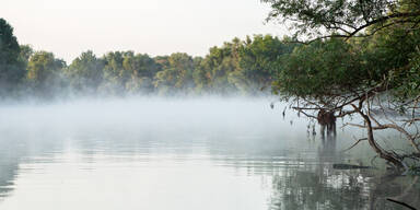Durchbruch in der Physik: Licht l&auml;sst Wasser verdampfen, ohne W&auml;rme!