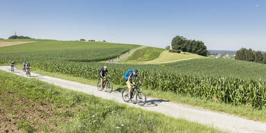 Die schönsten Frühlings-Radtouren im Südburgenland