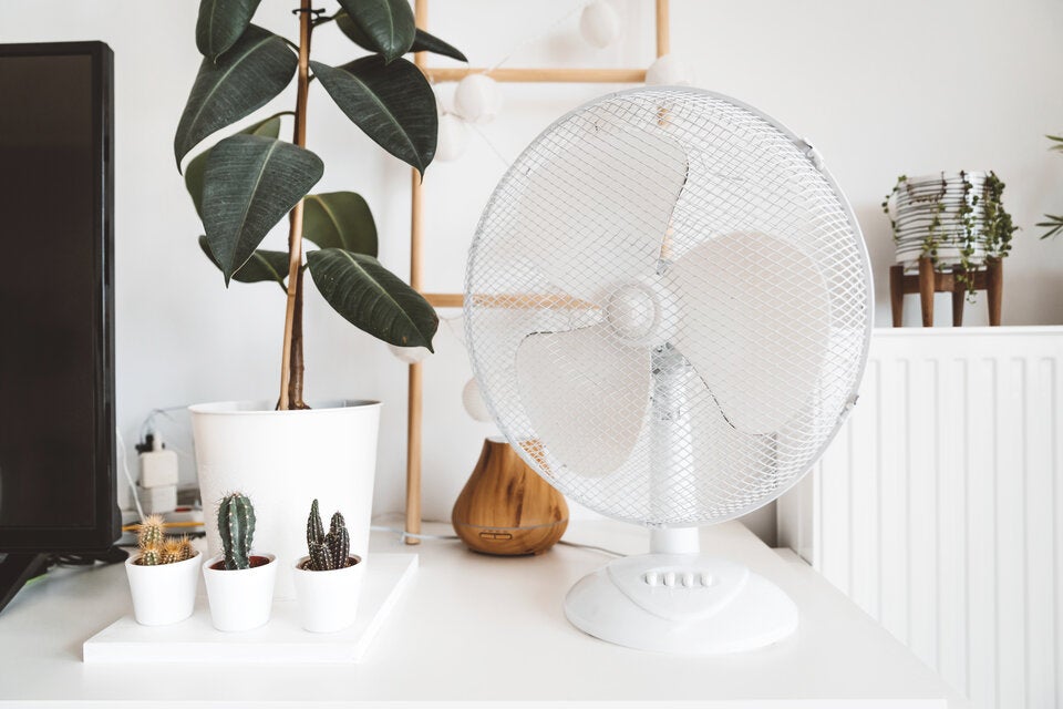 Achtung, Hitzefalle! Hier sollten Sie Ihren Ventilator niemals aufstellen