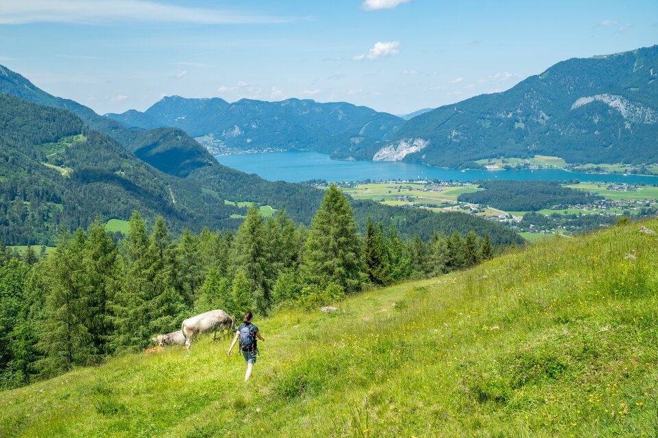 Geheimtipps am Wolfgangsee: Die schönsten Herbst-Erlebnisse
