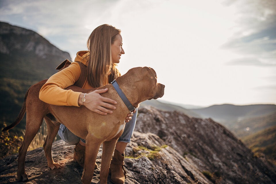 Wilder Kaiser. Mit dem Hund die Tiroler Bergwelt erkunden.