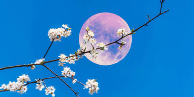 Vollmond am 2. April 2026