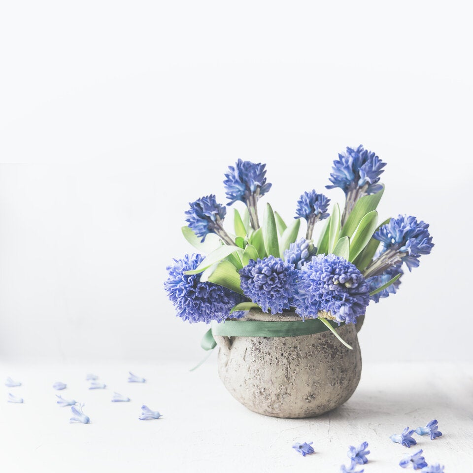 Geheime Liebesbotschaften: Die Bedeutung hinter Valentinstagsblumen