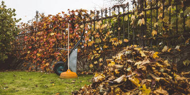 Garten winterfest machen: Das sollten Sie im Oktober unbedingt erledigen