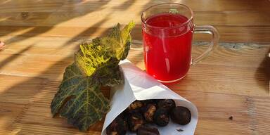 Sturmzeit: So erkennen Sie einen richtig guten Sturm