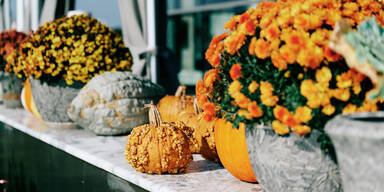 Wenn der Herbst zum Dekorateur wird