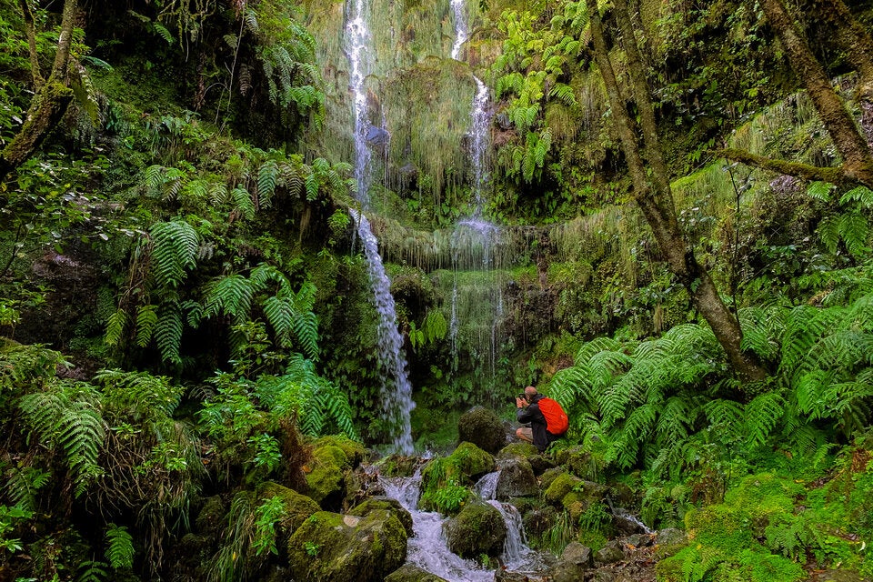 Geheimtipps: Diese Wanderwege in Europa wecken Frühlingsgefühle