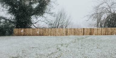 Macht fast jeder: Dieser h&auml;ufige Winter-Fehler zerst&ouml;rt Ihren Rasen