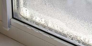 Nie wieder beschlagene Scheiben: Die besten Hacks für Ihr Auto & Zuhause