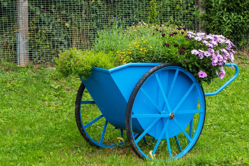 Schubkarren – ob aus Holz oder Kunststoff – ergeben überaus dekorative Pflanzgefäße. 