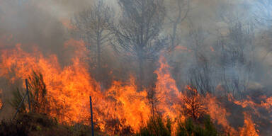 Symbolbild Waldbrand