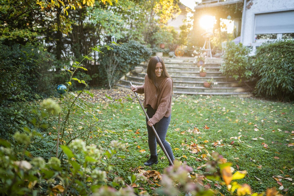 Garten und Balkon auf den Herbst vorbereiten: Diese Arbeiten stehen jetzt an