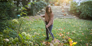 Gartenstart: Top K&auml;rcher Sauger im Deal
