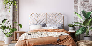 Diese Zimmerpflanzen lassen Sie sch&ouml;n tr&auml;umen