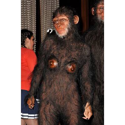 Heidi Klum: Hollywoods Halloween-Königin