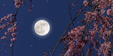 Vollmond am 13. April: 3 Sternzeichen sollten den Neustart in der Liebe wagen