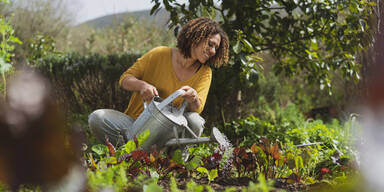 Nicht verpassen! Die wichtigsten Garten-To-dos für den März