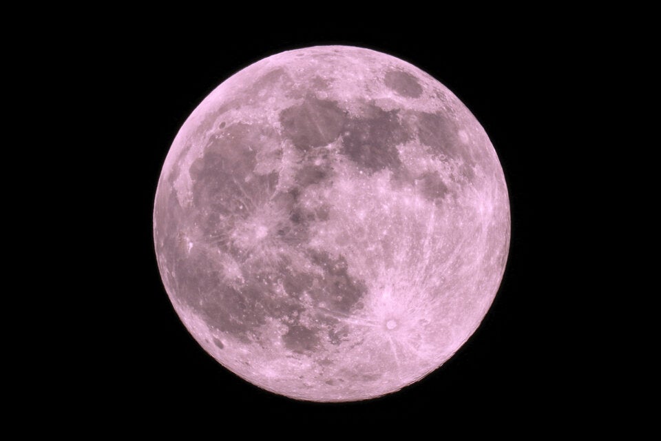 Pink Moon