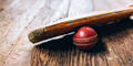 Cricket