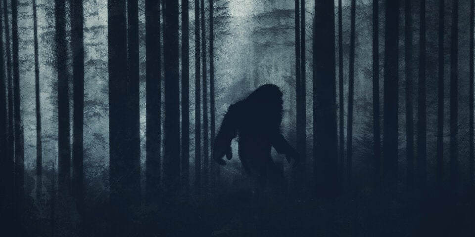 Bigfoot